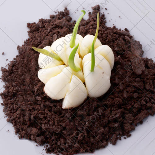 蒜子模具 意境菜模具 蒜模 装蒜模具 商品图0