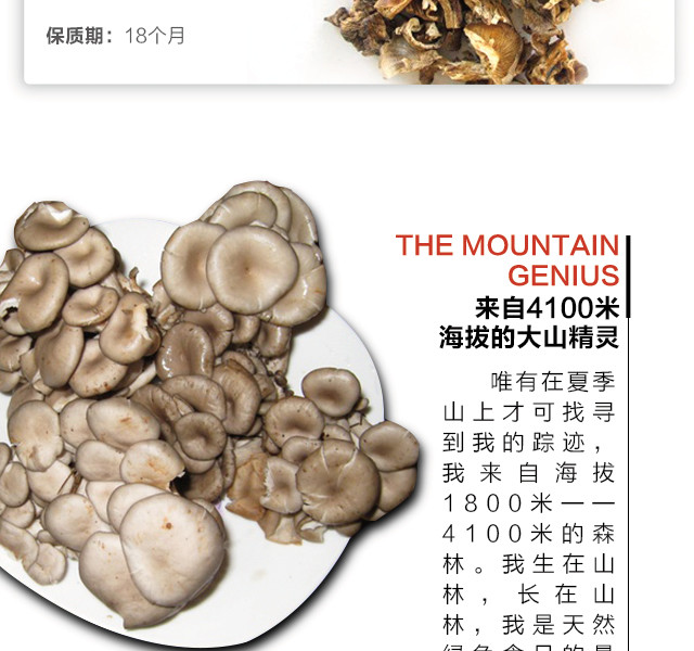 名贵山珍野生美味白风菌