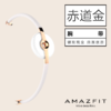 Amazfit 智能手环配件 赤道腕带金色 商品缩略图2