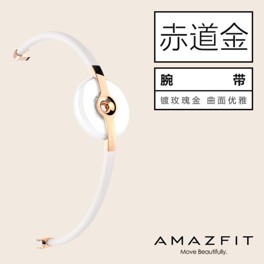 Amazfit 智能手环配件 赤道腕带金色 商品图2
