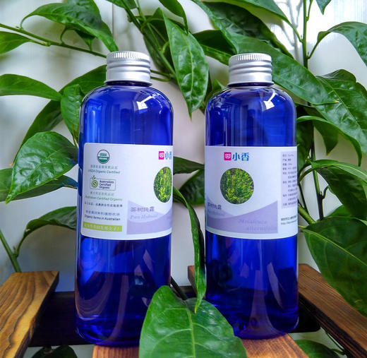 小香 澳洲有机茶树纯露 进口