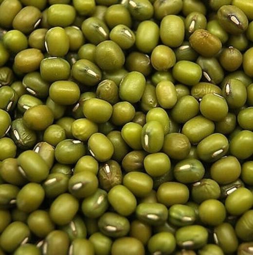 远谷生态绿豆500g 商品图0