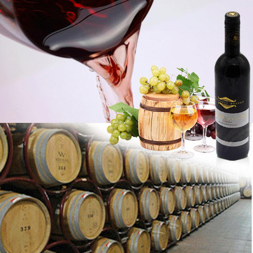 澳洲原瓶进口 泰勒佛古森精选系列西拉红葡萄酒 新世界工艺 商品图5