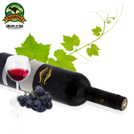 澳洲原瓶进口 泰勒佛古森精选系列西拉红葡萄酒 新世界工艺 商品图3