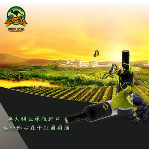 澳洲原瓶进口 泰勒佛古森精选系列西拉红葡萄酒 新世界工艺 商品图2