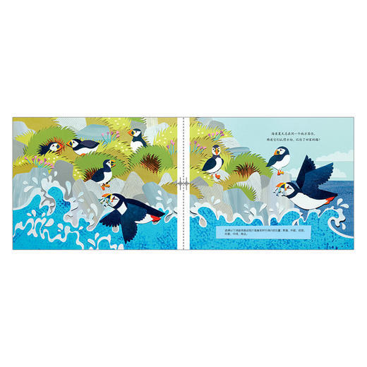 大自然中的数学 商品图2