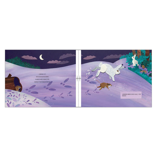 大自然中的数学 商品图3