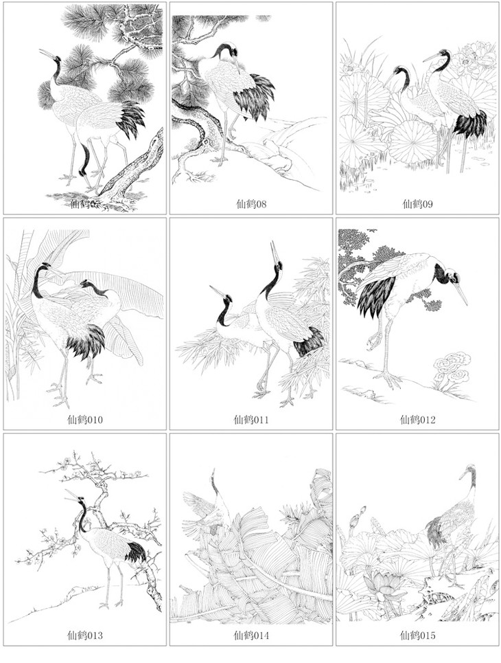 寿星仙鹤白描图片图片