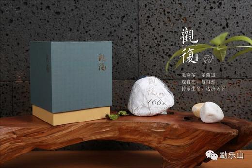 2014年观复（1661）生沱250g 商品图1