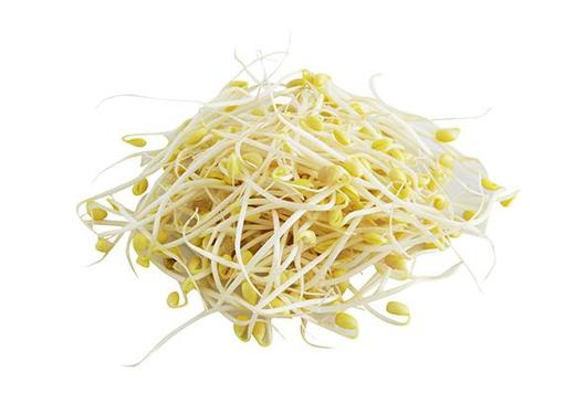2061黄豆芽约500克 商品图0