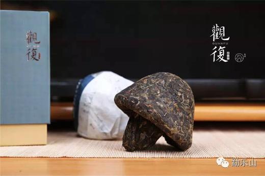 2014年观复（1661）生沱250g 商品图3