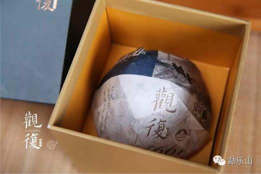 2014年观复（1661）生沱250g 商品图2