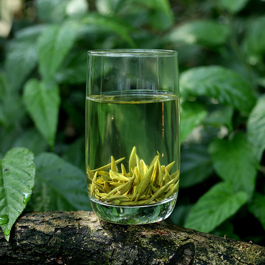 【巴南银针明前250g】 绿茶/经典袋装 商品图2