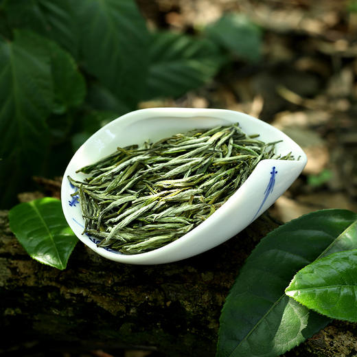 2022巴南銀針明前綠茶春茶明前高山一芽一葉袋裝50g