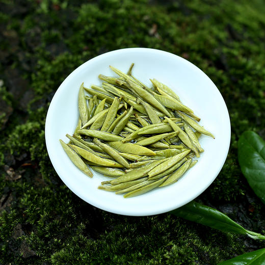 2022新茶巴南银针雨水绿茶春茶明前高山一芽一叶袋装50g