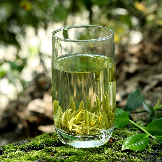 【巴南银针雨水100g】绿茶/经典袋装 商品图1