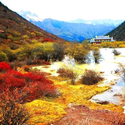 五一7天【甘南九寨A线 立减100元】梦中的香巴拉の兰州-拉卜楞寺-扎尕那-郎木寺-九寨沟-黄龙-西安【陆地头等舱豪华大巴】 商品图3