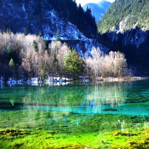 五一7天【甘南九寨A线 立减100元】梦中的香巴拉の兰州-拉卜楞寺-扎尕那-郎木寺-九寨沟-黄龙-西安【陆地头等舱豪华大巴】 商品图4