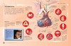 中国国家地理少儿百科：人体（国家地理少儿系列） 商品缩略图3