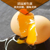 清远鸡初生蛋 新鲜无激素有机鸡蛋22枚1.5斤 商品缩略图4