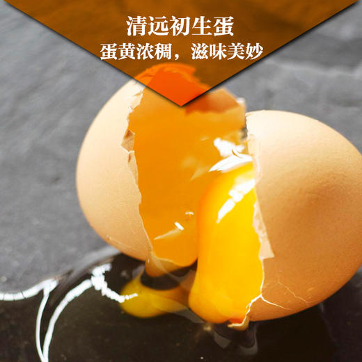 清远鸡初生蛋 新鲜无激素有机鸡蛋22枚1.5斤 商品图4
