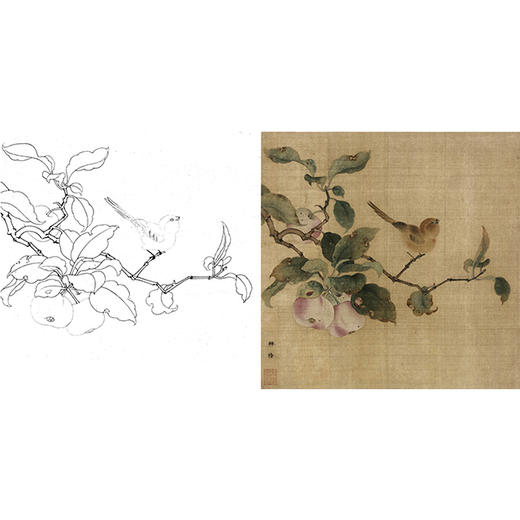 宋画花鸟白描底稿宋林椿果熟来禽图斗方小品册页x007