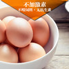 清远鸡初生蛋 新鲜无激素有机鸡蛋22枚1.5斤 商品缩略图1