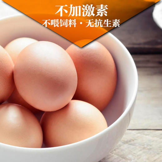 清远鸡初生蛋 新鲜无激素有机鸡蛋22枚1.5斤 商品图1