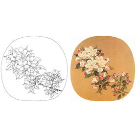 宋画花鸟白描底稿-宋 林椿-海棠花小品《写生海棠图》-多种白描尺寸可选-X009