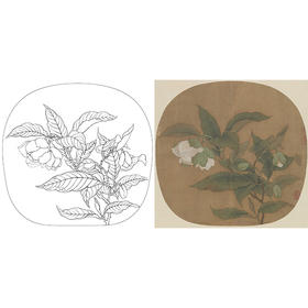 宋画小品工笔花鸟白描底稿-宋 佚名 夜合花图页-X026