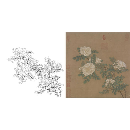宋画工笔花鸟白描底稿宋马远白蔷薇图斗方小品册页x011