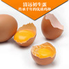 清远鸡初生蛋 新鲜无激素有机鸡蛋22枚1.5斤 商品缩略图2