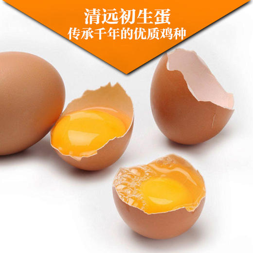 清远鸡初生蛋 新鲜无激素有机鸡蛋22枚1.5斤 商品图2