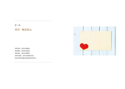 《你心柔软,却有力量》   林清玄  商品图2