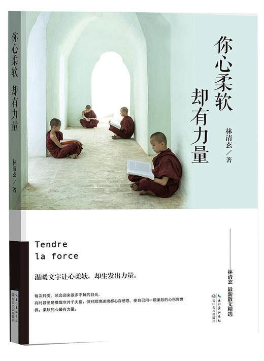 《你心柔软,却有力量》   林清玄  商品图0