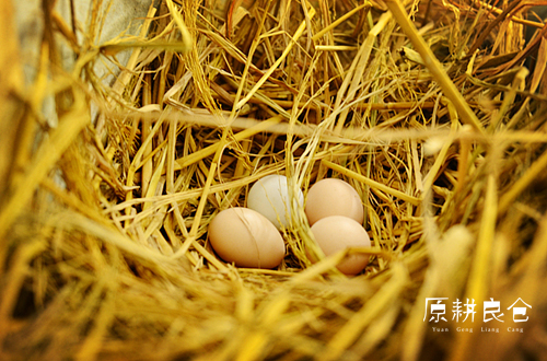 原耕初生蛋30枚，第一次的珍贵，不是谁都配。小个头大营养。
