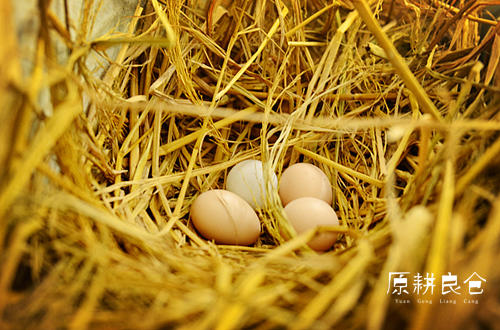 原耕初生蛋30枚，第一次的珍贵，不是谁都配。小个头大营养。 商品图0