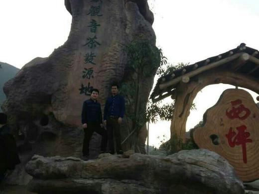 铁观音 茶王王庆章提供原料 特价240元 60袋 京津冀包邮 商品图7