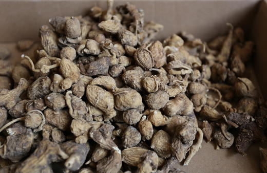 野生三七 商品图0