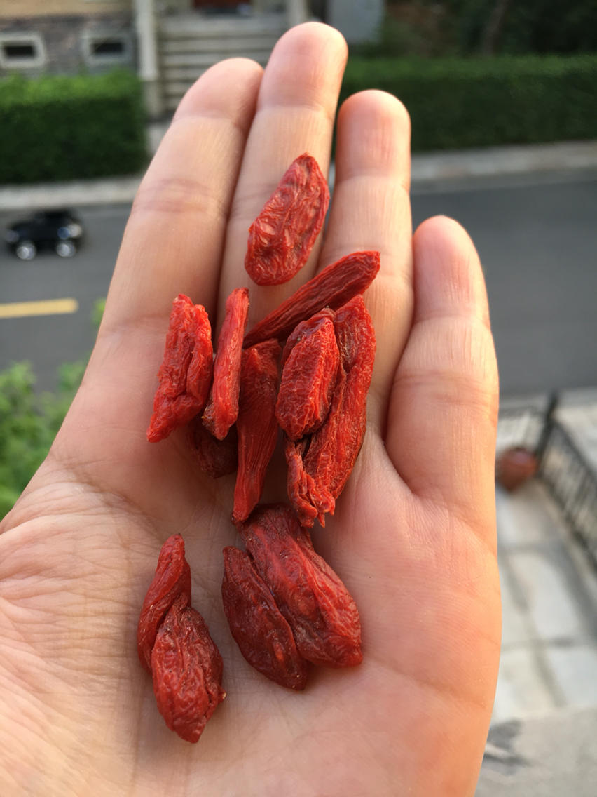 超大个头枸杞王,宁夏自治区区政府扶持项目,增强免疫力,泡水做汤都