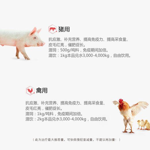 【善维】禽用复合氨基酸维生素1公斤 商品图1