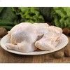 光名 西装鸡 （20只/23只/28只）（未腌制） 商品缩略图2