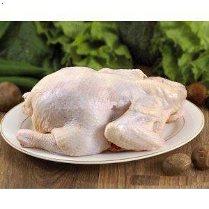 光名 西装鸡 （20只/23只/28只）（未腌制） 商品图2