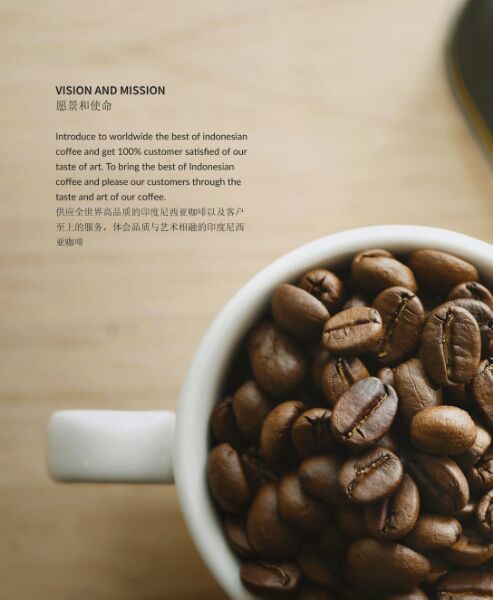 印度尼西亚 鲁瓦克 麝香猫咖啡( 咖啡豆)100g