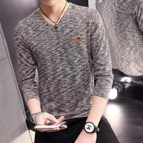【服饰鞋包】男士长袖T恤 全棉韩版修身V领t恤衫四季穿男装打底衫