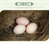 农家散养土鸡蛋绿壳/黄壳混搭一斤15元/5斤礼盒装 商品缩略图5