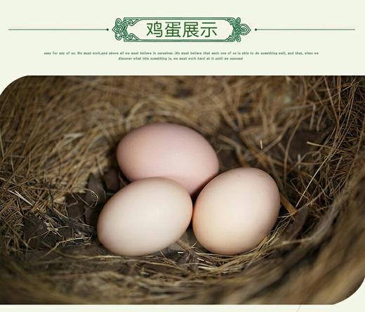 农家散养土鸡蛋绿壳/黄壳混搭一斤15元/5斤礼盒装 商品图5