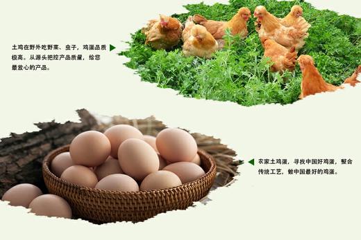 农家散养土鸡蛋绿壳/黄壳混搭一斤15元/5斤礼盒装 商品图2
