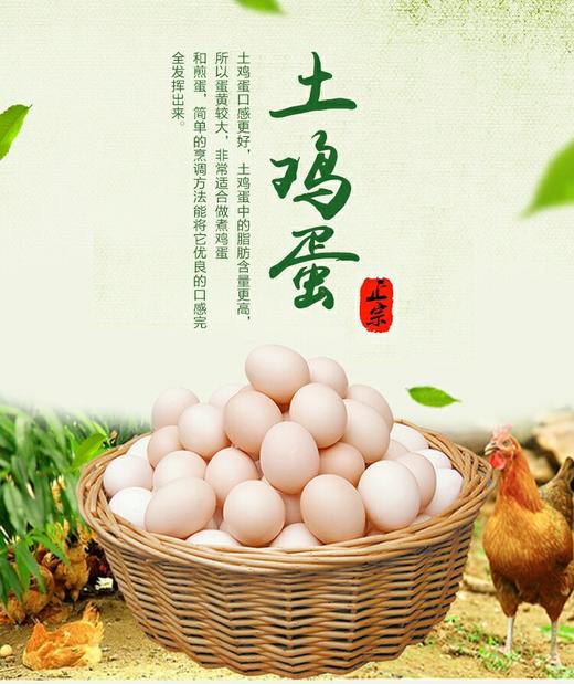 农家散养土鸡蛋绿壳/黄壳混搭一斤15元/5斤礼盒装 商品图0