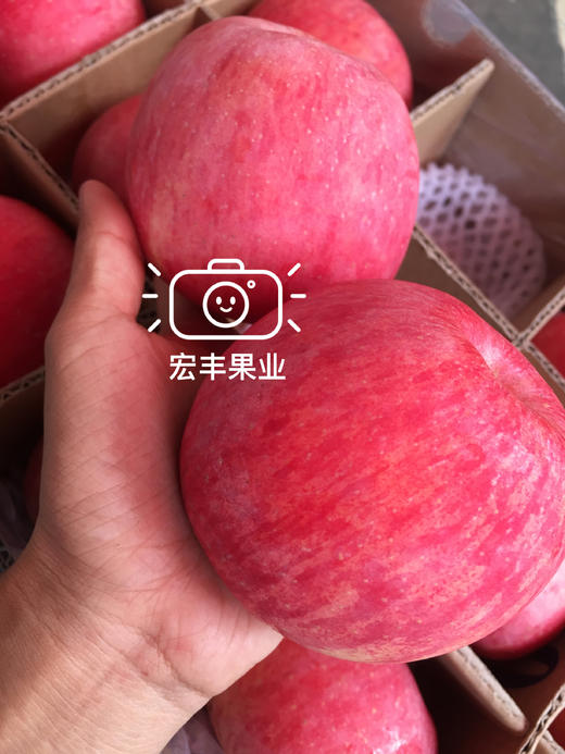 【宏丰精选】新包装陕西不倒翁苹果 底层很多空格有机脆甜苹果  11.8一斤 商品图0